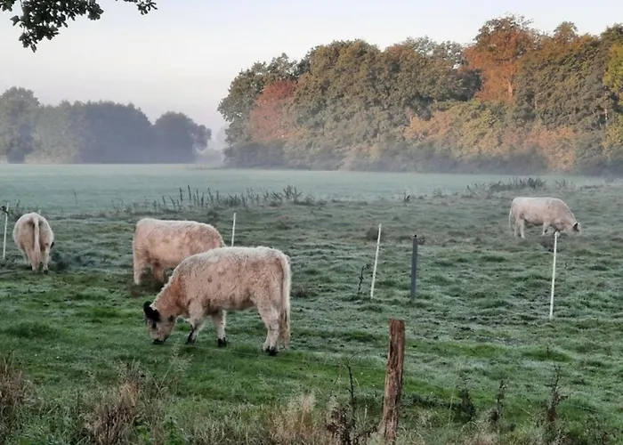 Hébergement de vacances 39 Mini Pod 